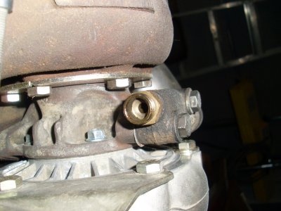 SL371007.JPG