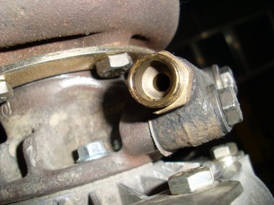 SL371008.JPG