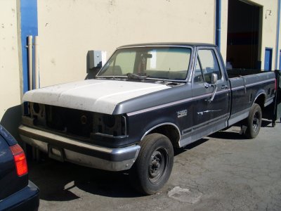 SL371513.JPG