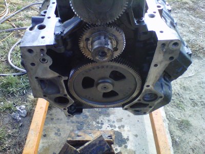 IMG00112-20101120-0919.jpg