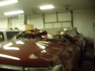 P1120033.jpg