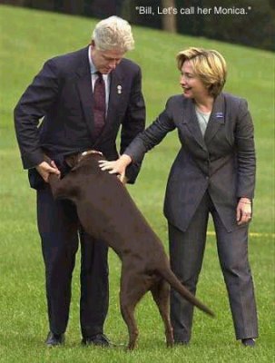 cclintondog012.jpg