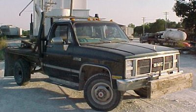 crossbreed1.jpg