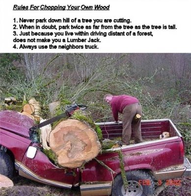 tree rules.jpg