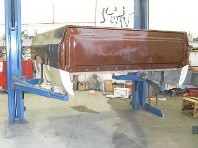 SL377451.JPG
