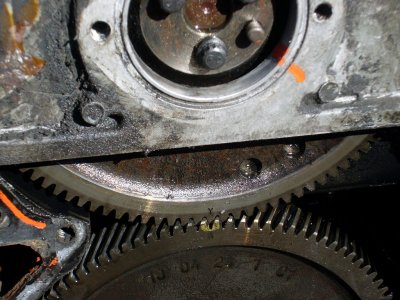 SL371574.JPG