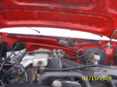 S2010193.JPG