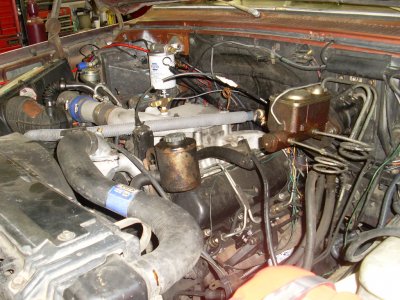 SL376397.JPG