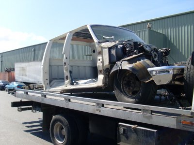 SL379924.JPG