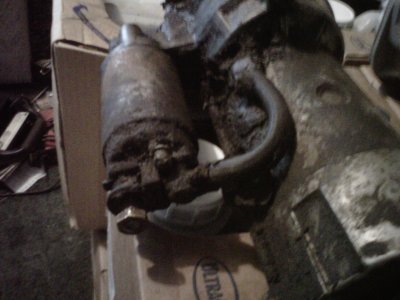 IMG00233-20110131-0835.jpg