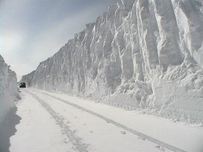 Driveway snow.jpg