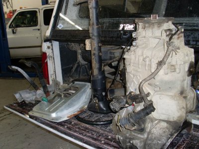 SL373055.JPG