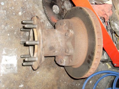 SL373141.JPG