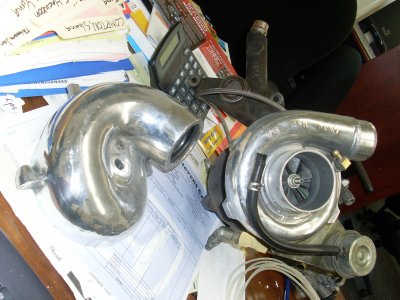 SL373309.JPG