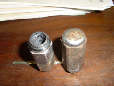 SL373313.JPG