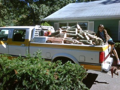 hauling firewood 2.jpg
