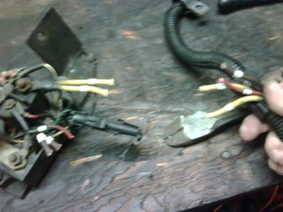 gp harness cut.jpg