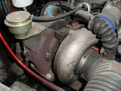 SL376707.JPG