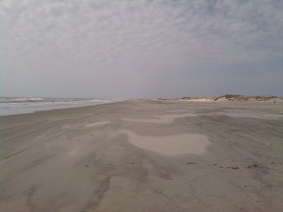 02261026a.jpg