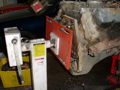 SL371507.JPG
