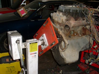 SL371508.JPG