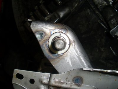 SL379390.JPG