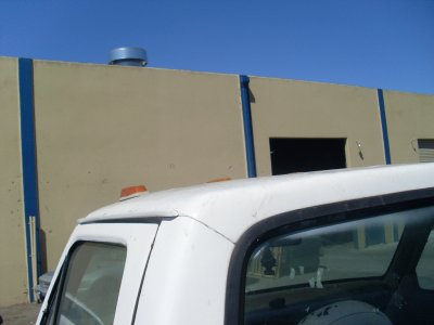SL374483.JPG