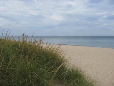 IMG_1153.JPG