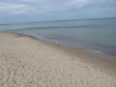 IMG_1158.JPG