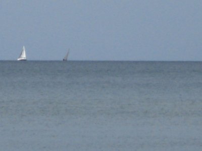 IMG_1159.JPG