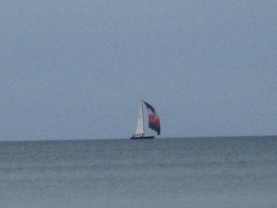 IMG_1173.JPG