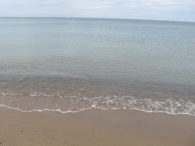IMG_1174.JPG