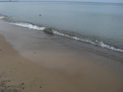 IMG_1175.JPG
