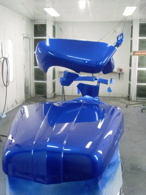 SL371786.JPG