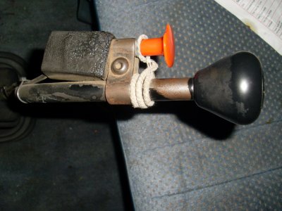 SL374939.JPG