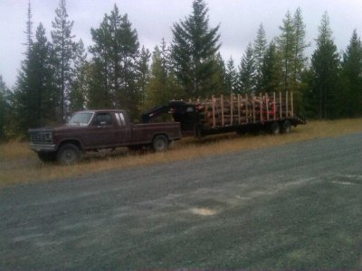 wood2.jpg
