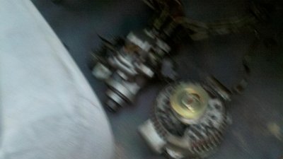 ip.jpg