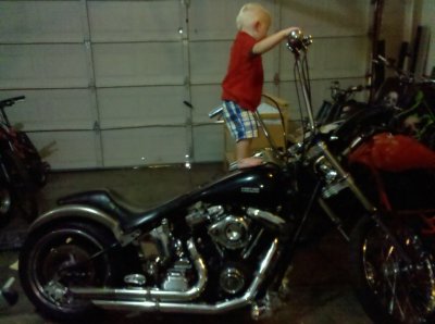 GNARLEYDAVIDSON8.jpg