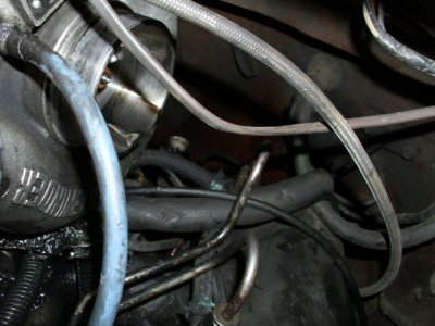 DSCI0284.JPG