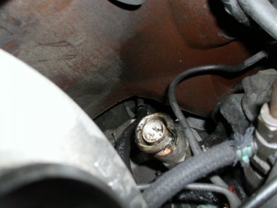DSCI0285.JPG