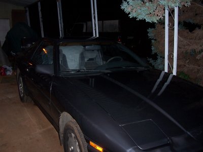 000_0251.jpg