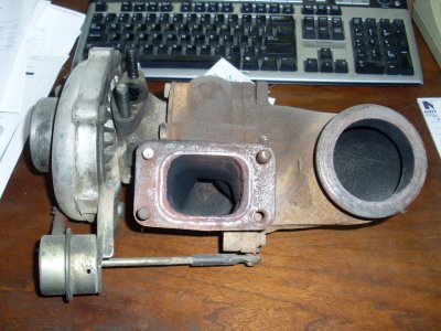 SL374078.JPG
