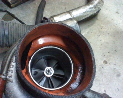 Picture 007.jpg