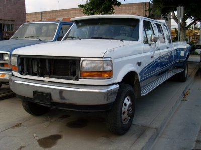SL375318.JPG