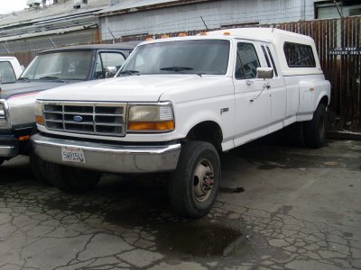 SL373133.JPG