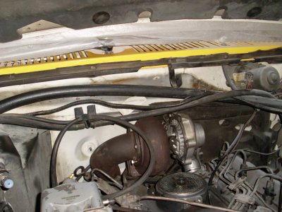SL375586.JPG
