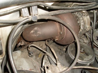 SL375588.JPG