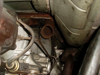 SL375589.JPG