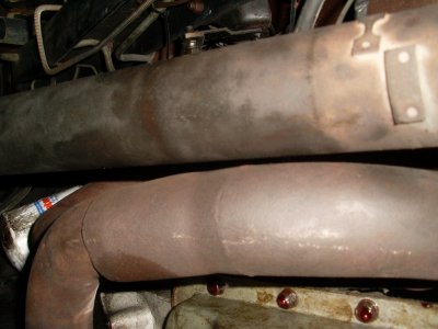 SL375591.JPG