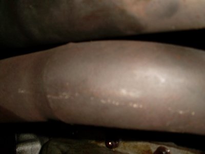 SL375593.JPG